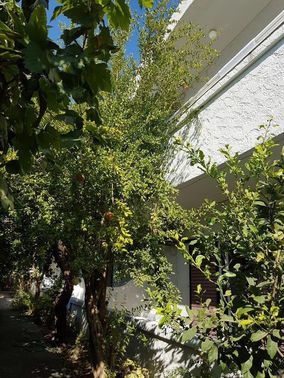 Thalassa Studios Faliraki Eksteriør billede